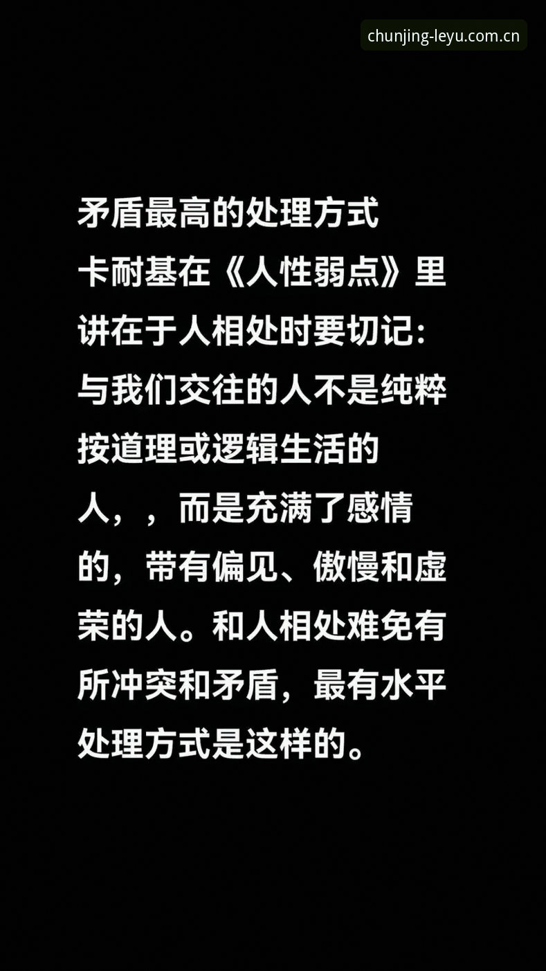 数据堆砌vs价值提炼：为什么“因纯粹而生”的首页逻辑不一样？